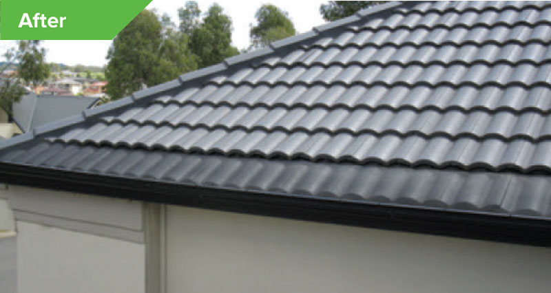 Tile Roof Kits after - Gutter Protection